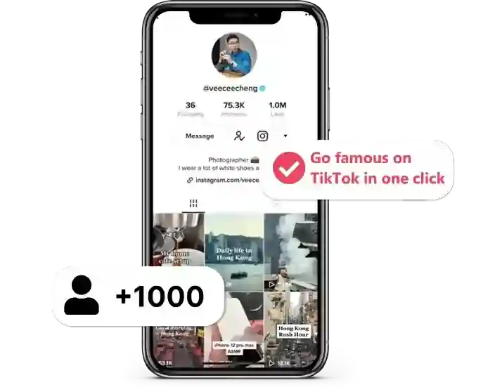 TikTok on iPhone